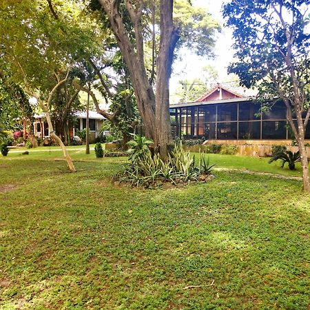 Xalli Beach Hotel Altagracia Exteriér fotografie